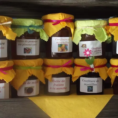 加拿大住宿加早餐酒店 住宿加早餐酒店 萨尔格米纳