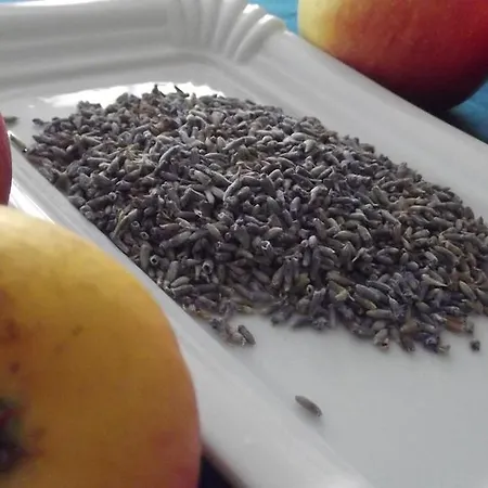 加拿大住宿加早餐酒店 萨尔格米纳