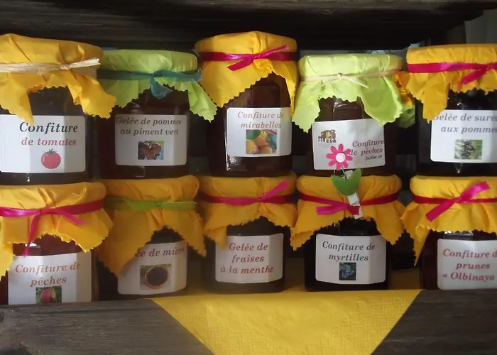 Chambres D'hotes La Canadienne Nocleg ze śniadaniem Sarreguemines