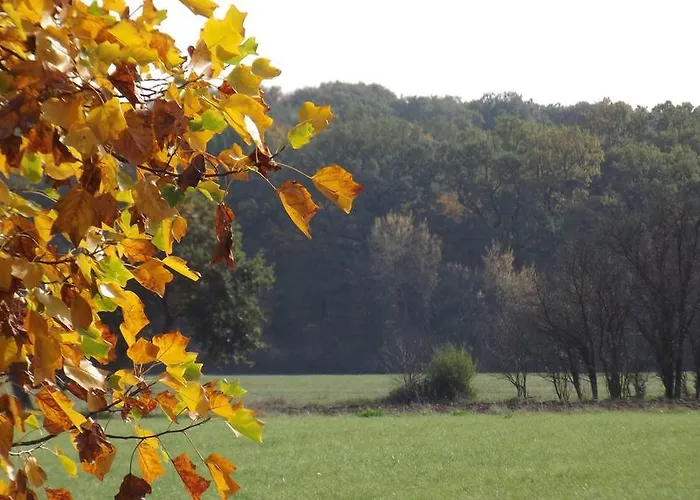 Nocleg ze śniadaniem Chambres D'hotes La Canadienne Sarreguemines