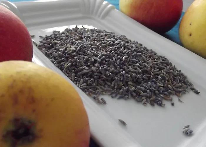 Chambres D'hotes La Canadienne Sarreguemines